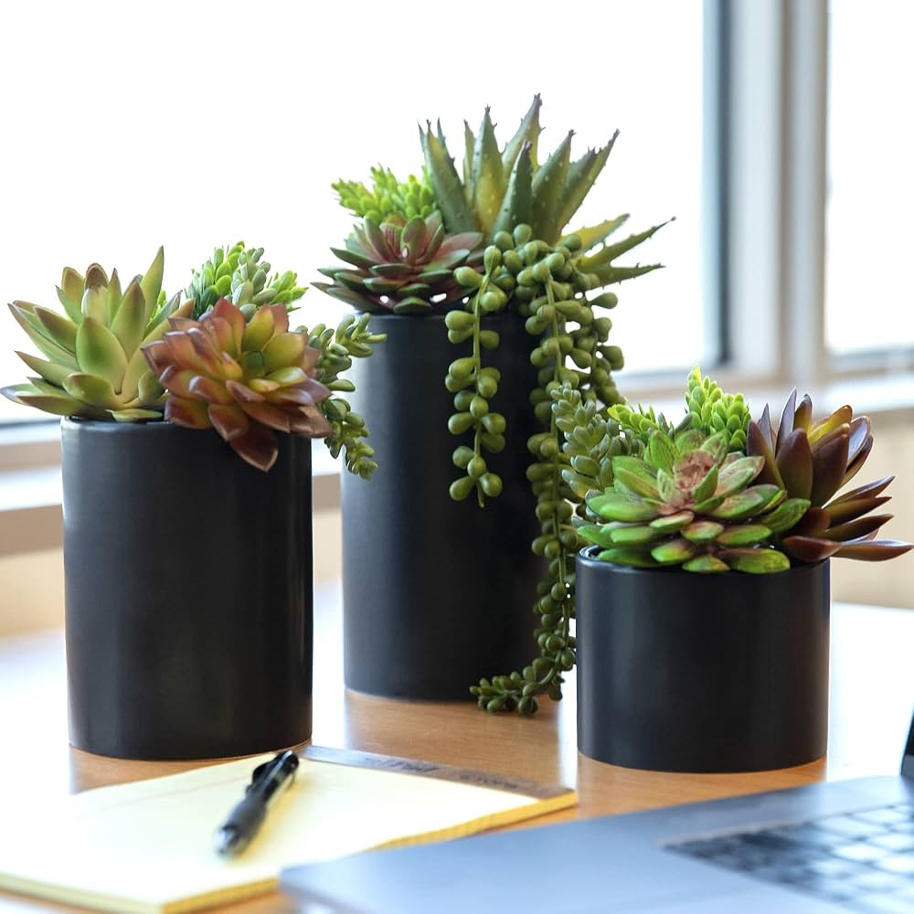 SEEKO Succulents Artificial Succulents Plants (3 Pack) - Realistic Assorted Fake Plant for Bathro... | Amazon (US)