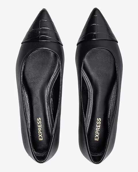 Croc-Embossed Pointed Toe Ballet Flats | Express