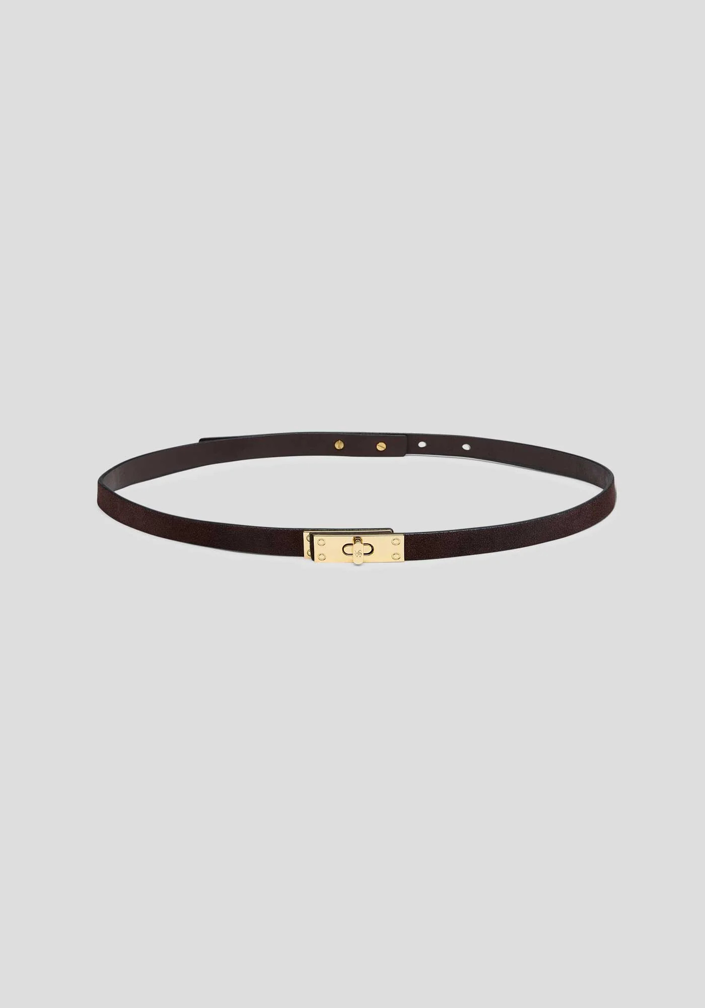 Coach Belt IN BROWN | ACCESSORIES | VIKTORIA & WOODS - Viktoria & Woods | Viktoria & Woods