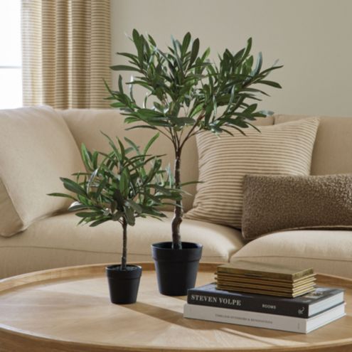 Olive Topiary | Ballard Designs, Inc.