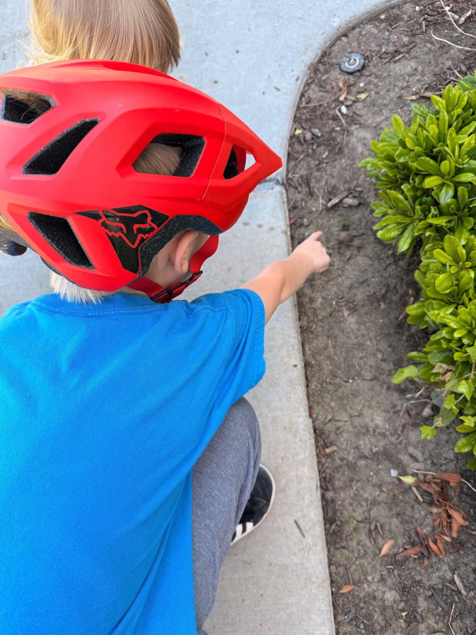 Snail 🐌 hunting 💛🫶🤍


#kidssaftey #momlife #outdoors 

#LTKActive #LTKdayinmylife #LTKKids