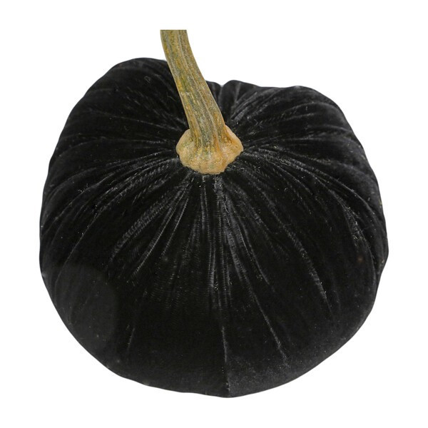 Hot Skwash | Maisonette