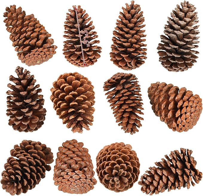 Huwena 12 Pcs PineCones Large Natural Unscented Pine Cones Bulk Rustic Christmas Tree Ornaments D... | Amazon (US)