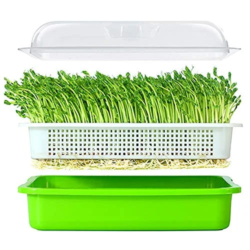 LeJoy Garden Seed Sprouter Tray BPA Free PP Soil-Free Big Capacity Healthy Wheatgrass Grower with... | Walmart (US)