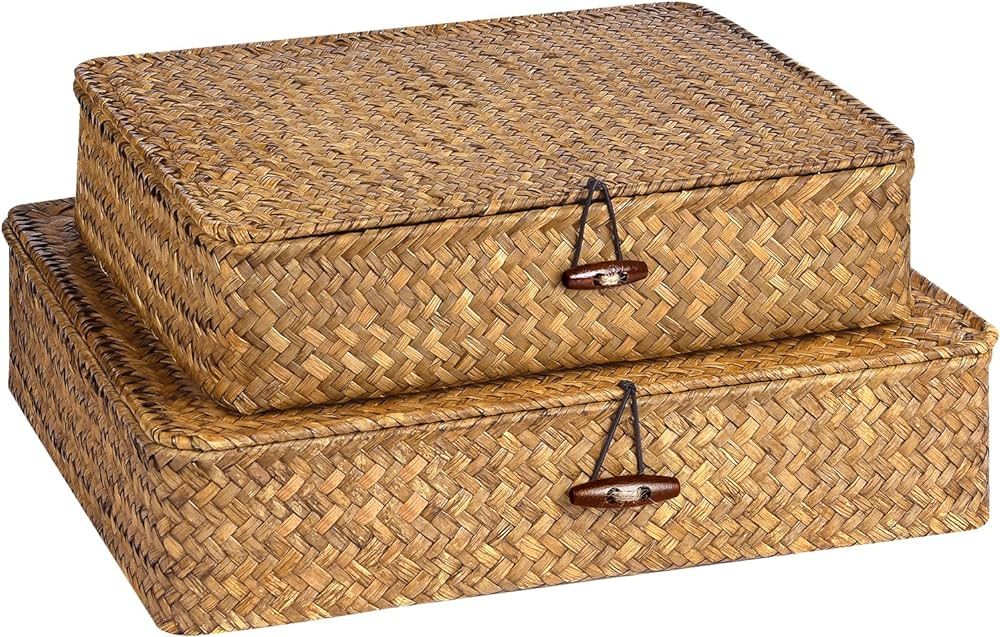 Set of 2 Flat Seagrass Storage Bins with Lid Wicker Storage Baskets for Organizing, Woven Shelf O... | Amazon (US)