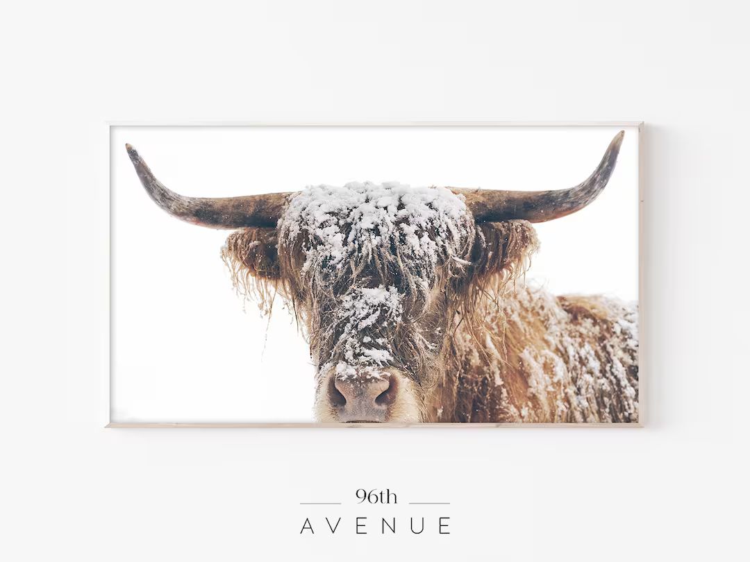 Samsung Frame Tv Art Cow Highland Cow Digital Art for Tv - Etsy | Etsy (US)