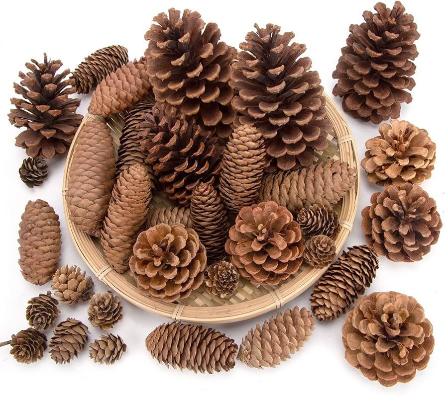 JOHOUSE 50PCS Natural Pinecone Ornaments, Pine Cones Bulk Natural Pinecones Assortment for Fall W... | Amazon (US)