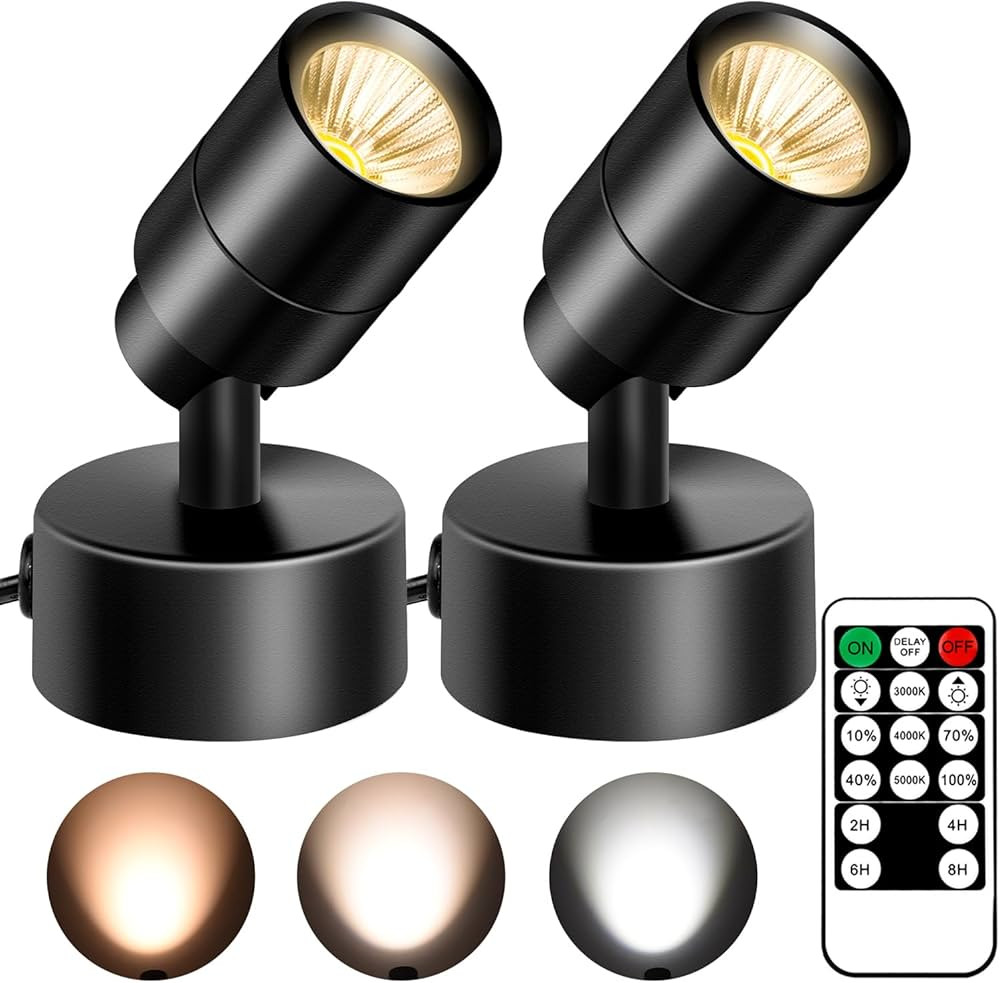 2 Pack Dimmable Spot Lights Indoor with Timer and Remote, 3000K/4000K/5000K Adjustable LED Up Lig... | Amazon (US)