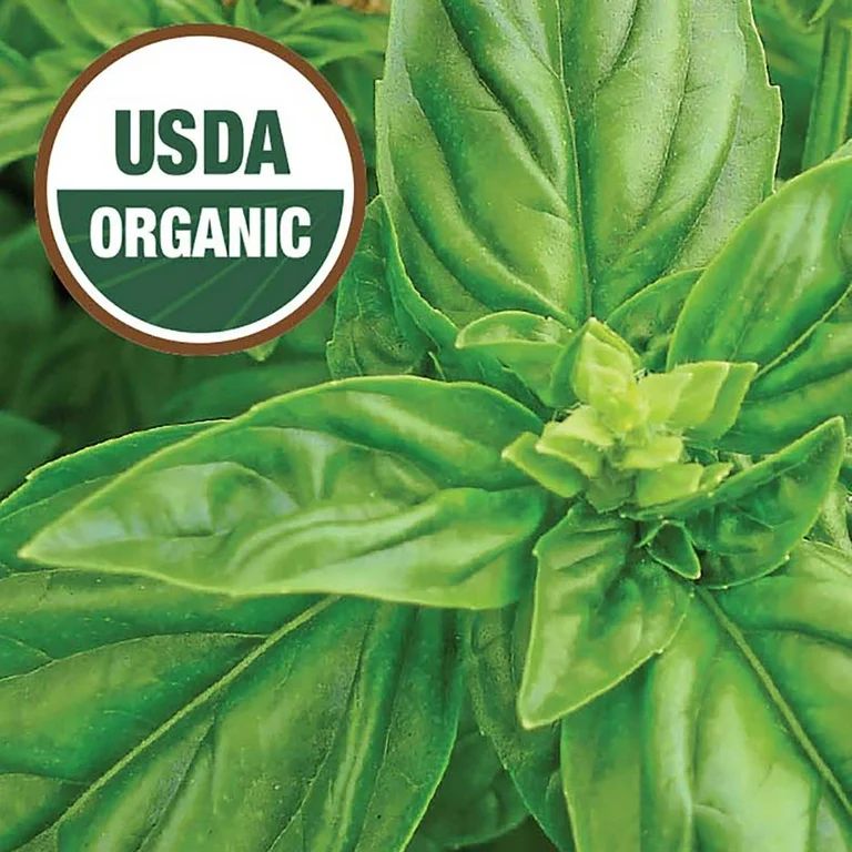 Ferry-Morse Organic 145MG Basil Sweet Herb Plant Seeds Full Sun | Walmart (US)