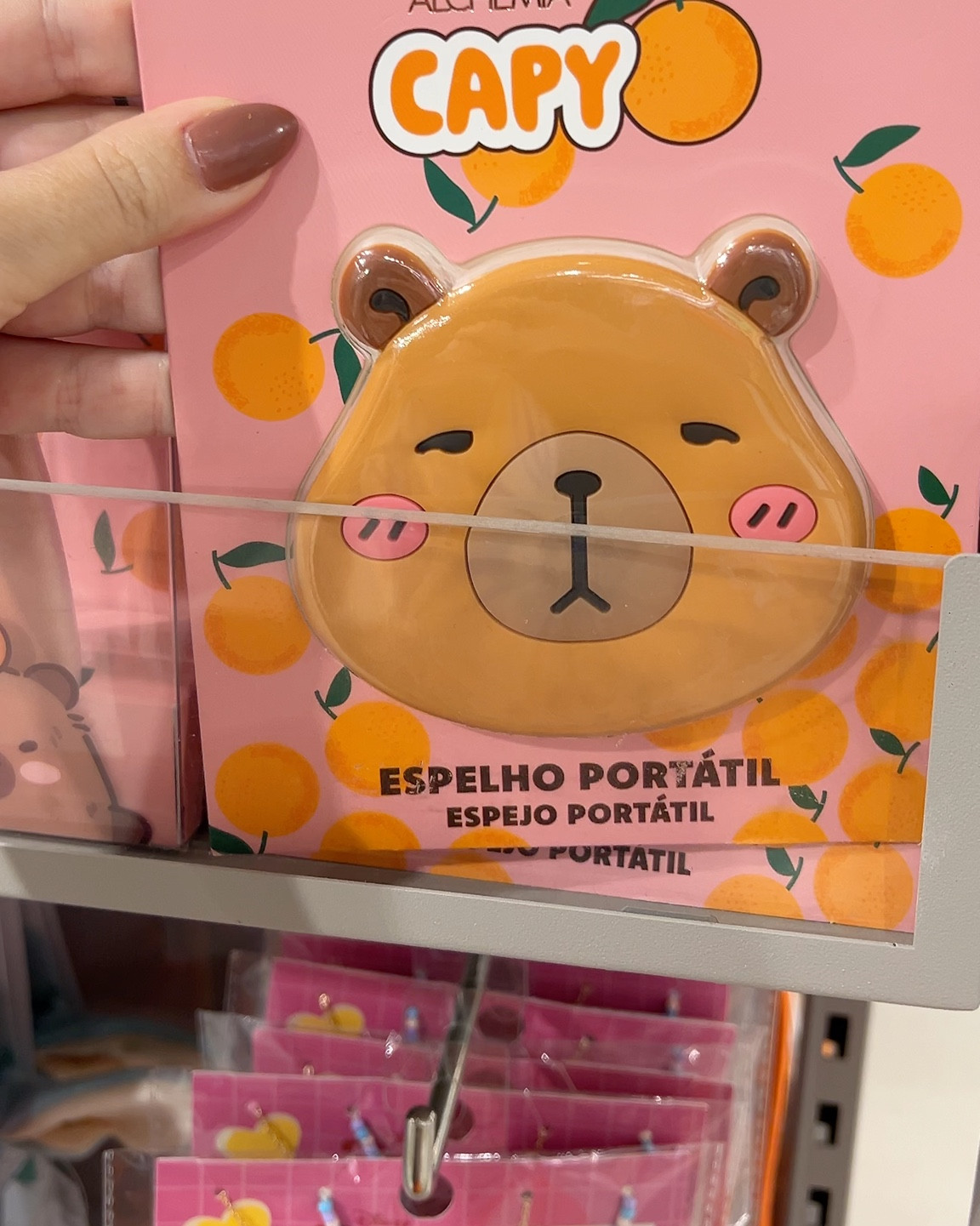 As capivaras vão dominar o mundo 🥰 Muiyas fofuras de capi na Renner 