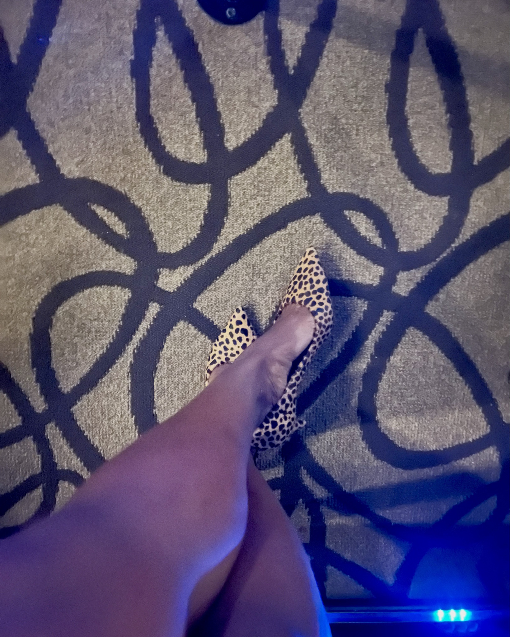 Aproveitando que animal print está em alta. Sempre amei estampa de oncinha. 🤩🤌🏾