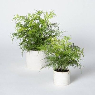 Artificial Fern Plant in Pot White - Threshold™ designed with Studio McGee | Target