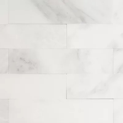 Oriental 2" x 8" Marble Marble Look Subway Wall & Floor Tile | Wayfair North America