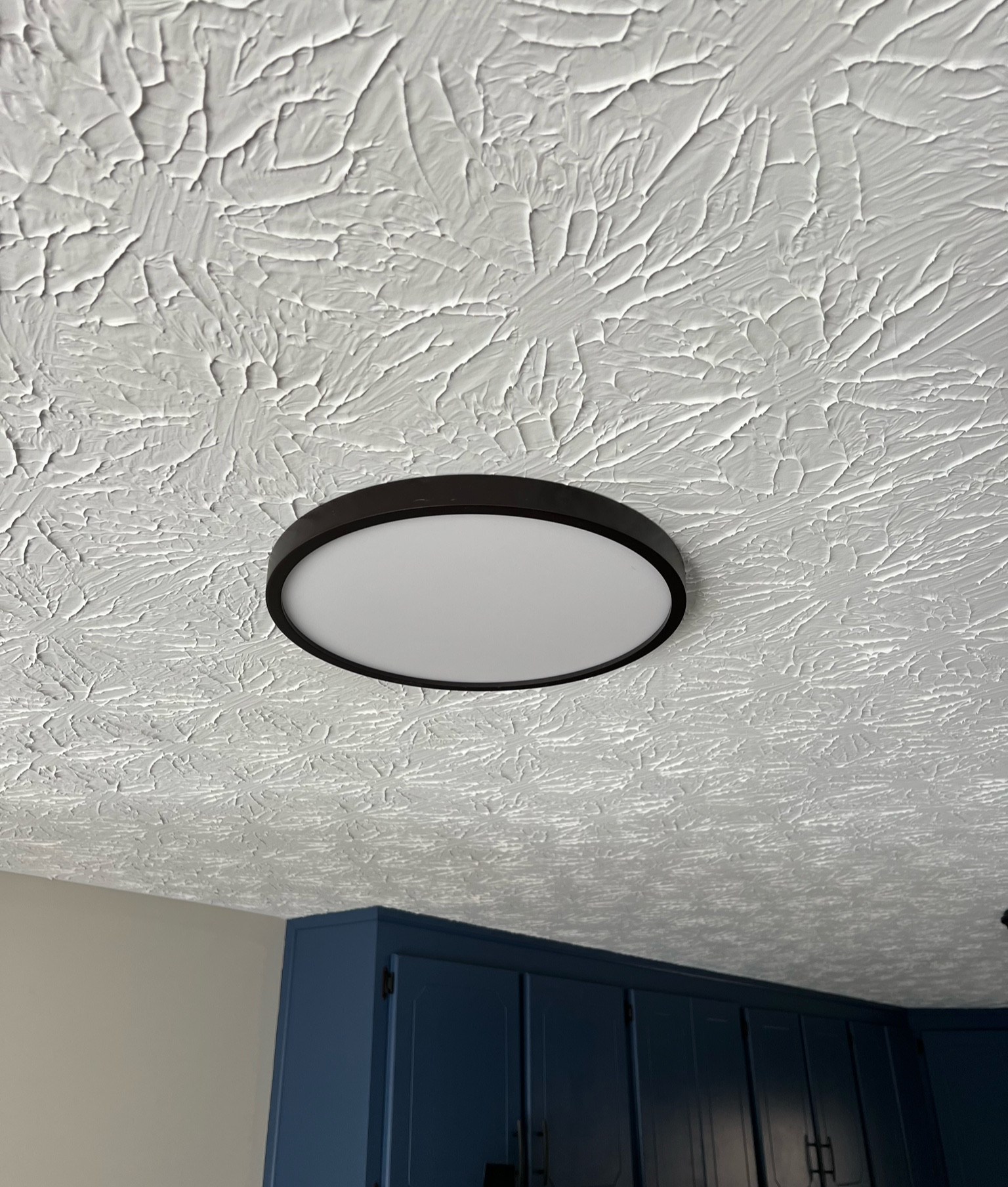 Bronze Light Fixturee