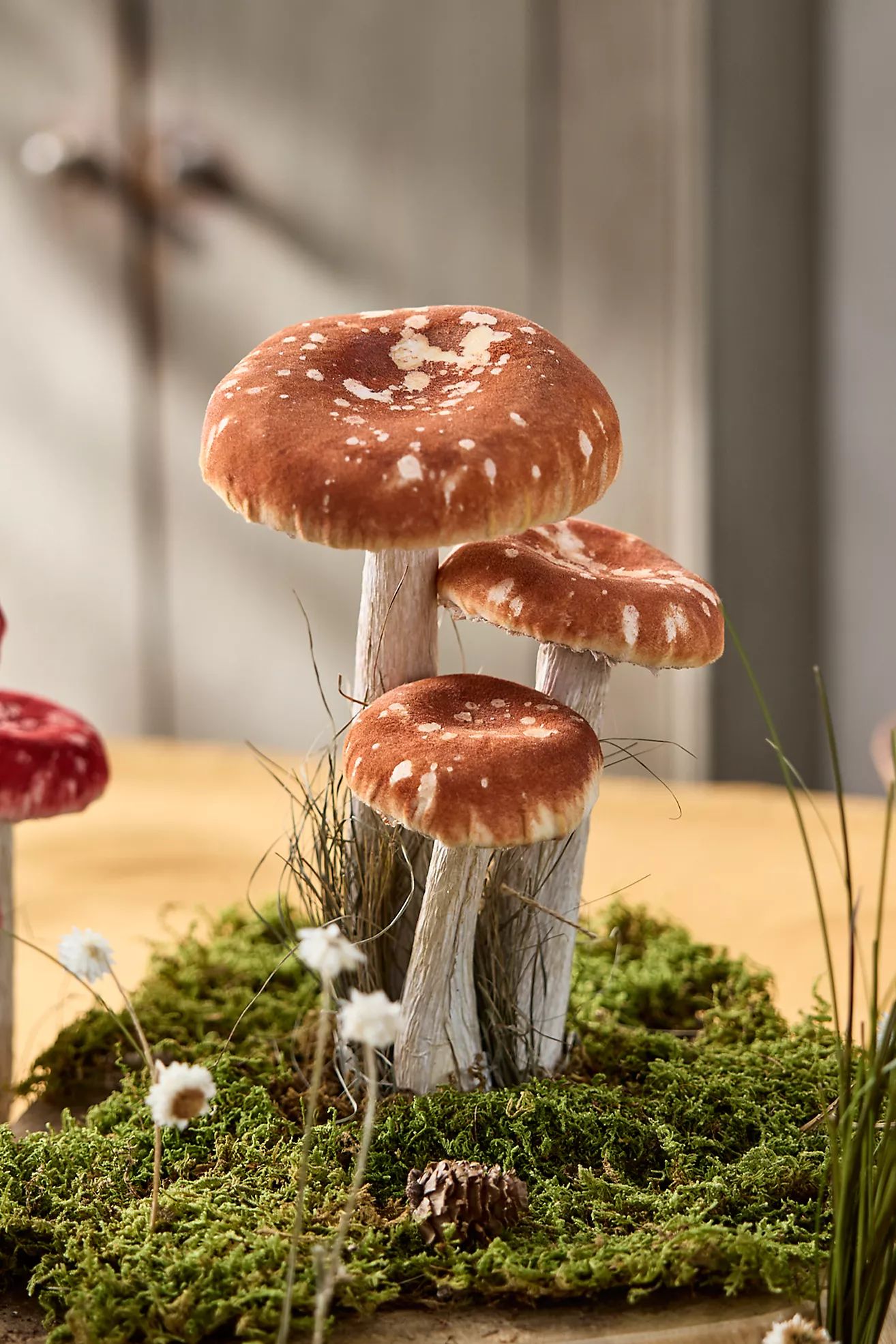Velvet Mushrooms, Set of 3 | Anthropologie (US)