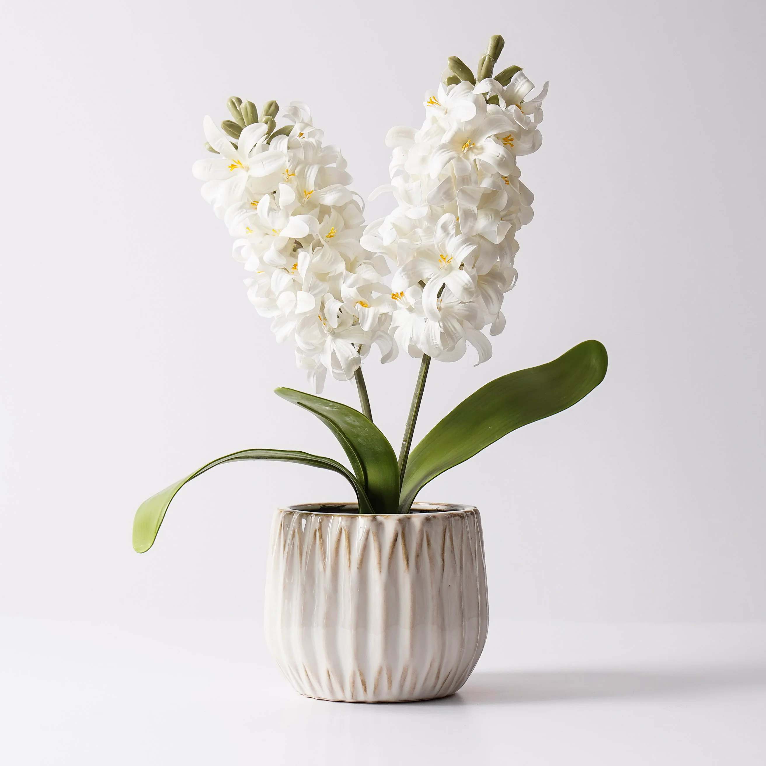 Potted Real Touch White Hyacinth | COMING SOON | MJHome
