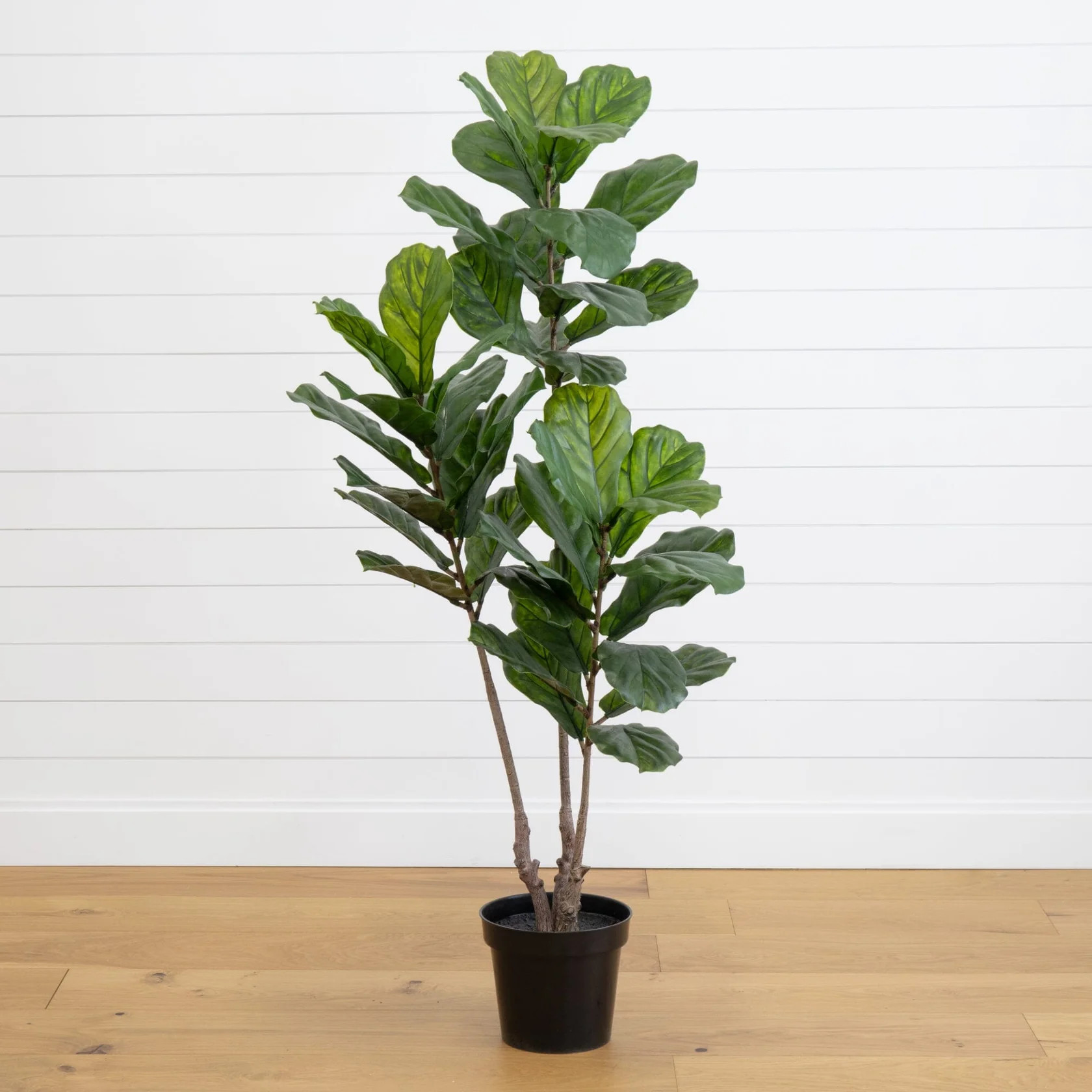 65” Fiddle Leaf Tree UV Resistant (Indoor/Outdoor) | Nearly Natural | Nearly Natural