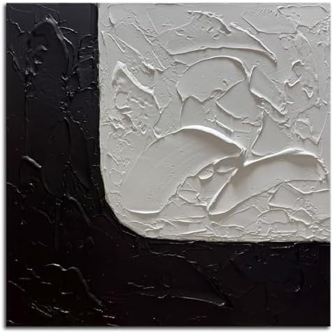 zoinart Hand Painted Black and White Canvas Wall Art 24x24 Inches Abstract Paintings Textured Min... | Amazon (US)