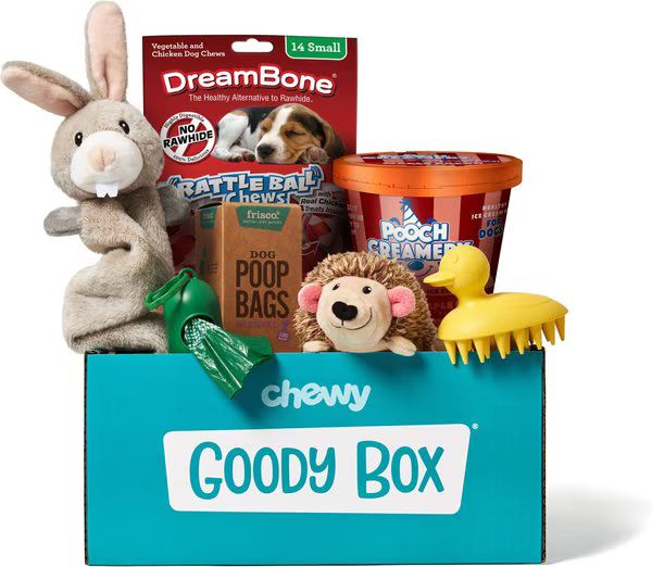 GOODY BOX Puppy Toys, Treats & Potty Training - Chewy.com | Chewy.com