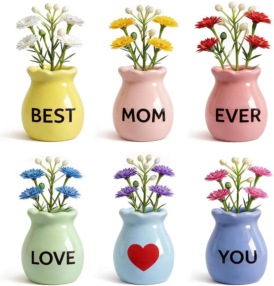 Meaningful Gift for Mom - This 6-piece mini vase magnet set is a sweet and thoughtful gift for Mo... | Amazon (US)
