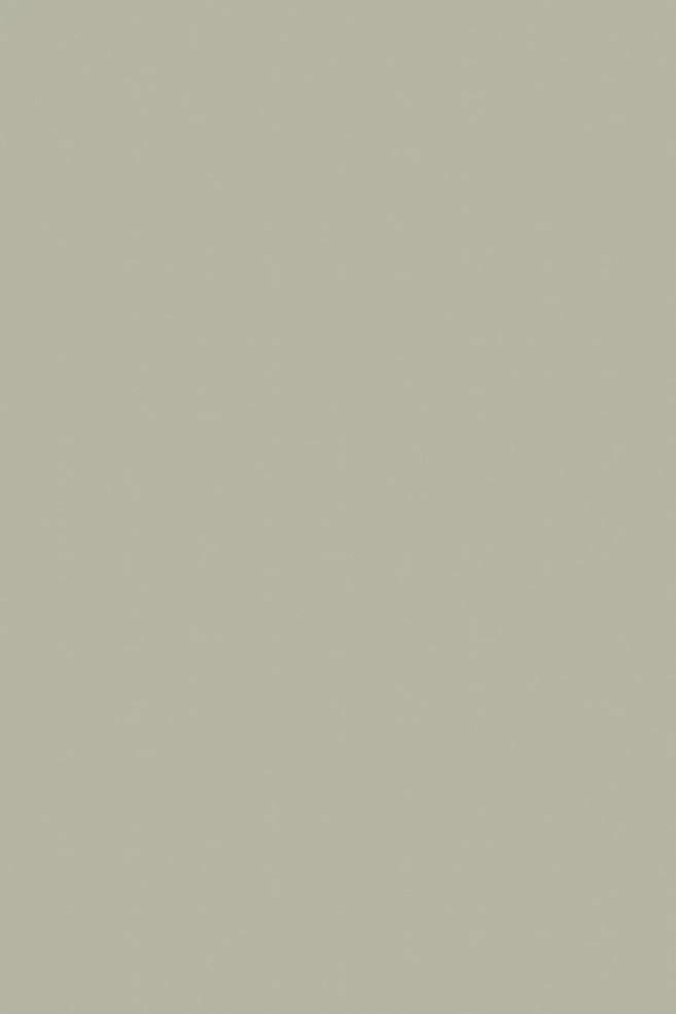 French Gray No.18 - 1 Gallon | Anthropologie (US)