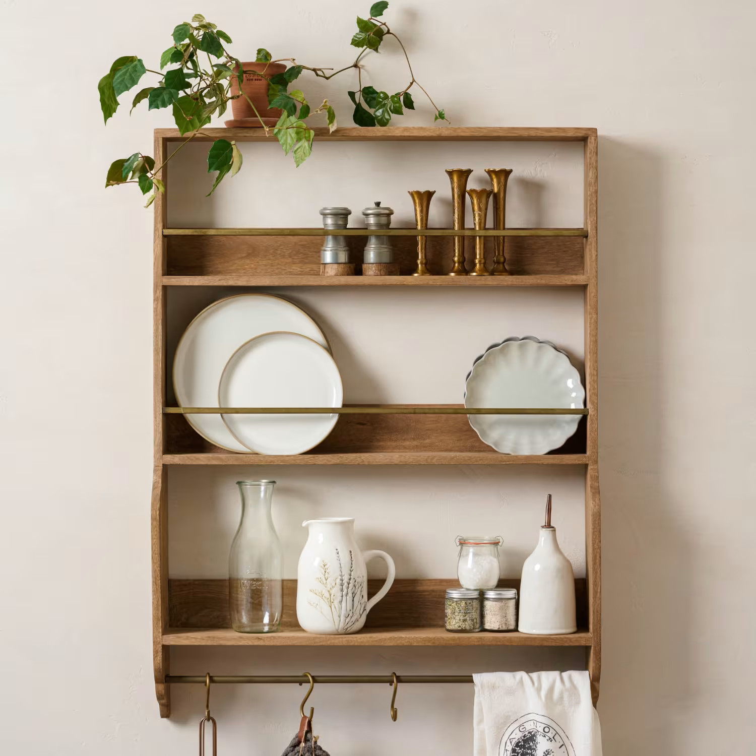 Hannon Wood and Brass Display Shelf | Magnolia