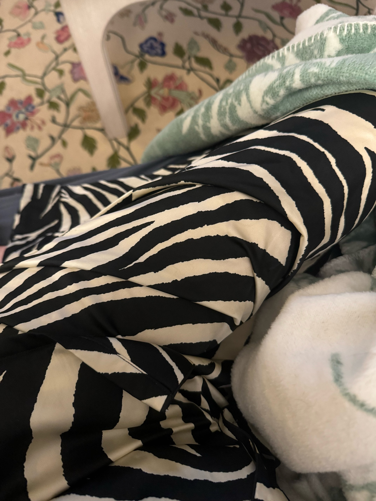 Amazon pjs 

#LTKFindsUnder50