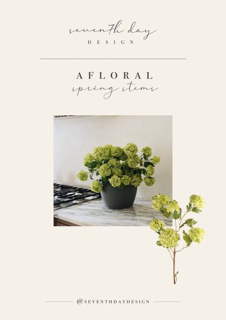 Spring faux stems 🌿

Afloral stems, spring stems, vase filler, spring decor, faux hydrangea, table decor 

#LTKstyletip #LTKhome #LTKSeasonal