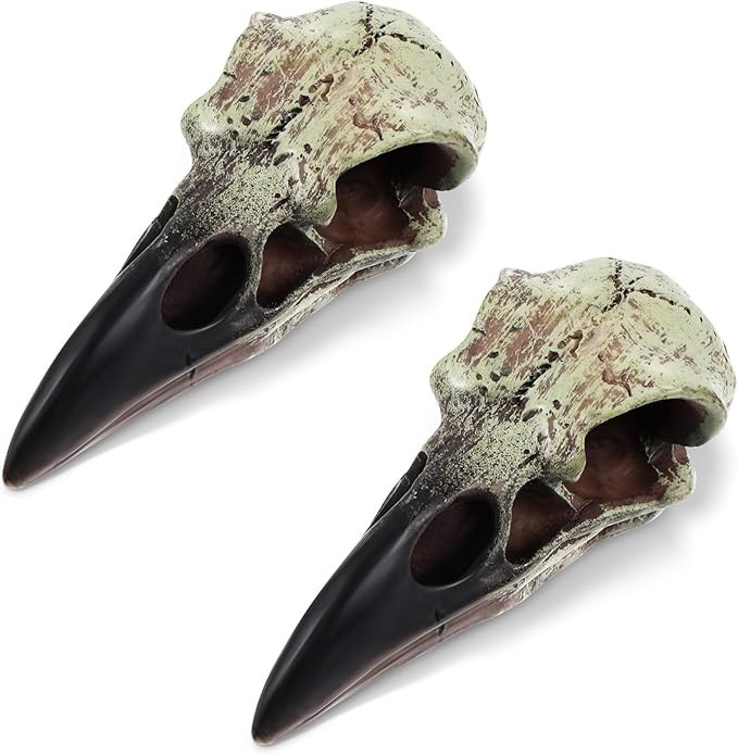 2.36 Inches Halloween Raven Skull Figurine Scavenger Gothic Crow Hanging Wall Sculpture Resin Rav... | Amazon (US)