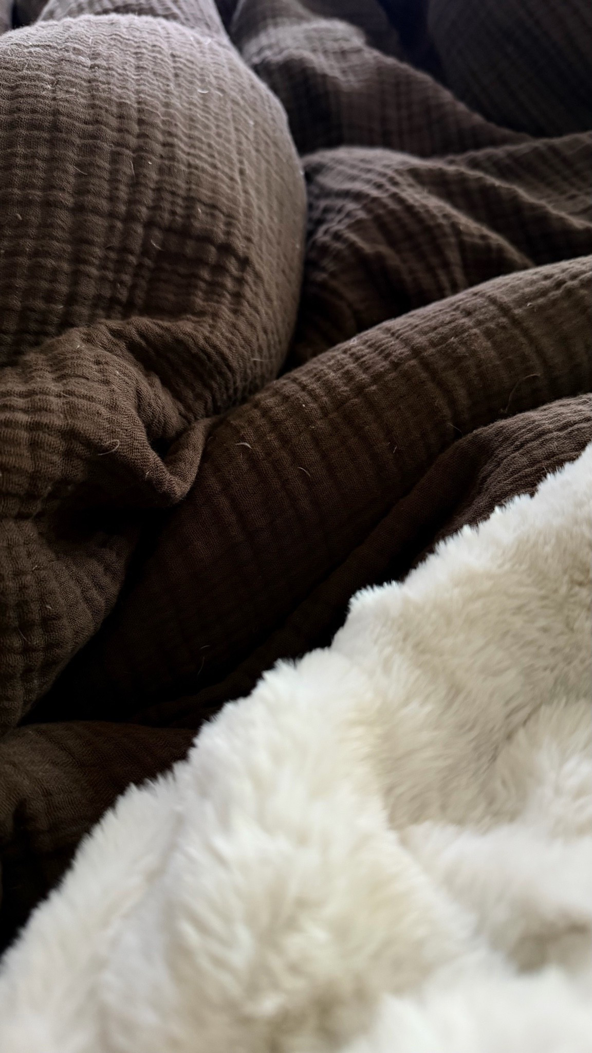 Fall bedding you guys have been asking for. I upgraded to Quince and it was well worth the price. Our bed feels breathable, super luxe and looks amazing

#LTKSeasonal #LTKmomlife #LTKHome