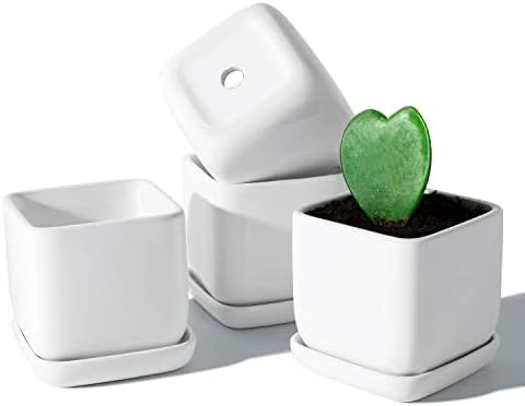 POTEY 051105 Square Succulent Plant Pot - 3.5 Inch White Ceramic Small Planters for Cactus Succul... | Amazon (US)