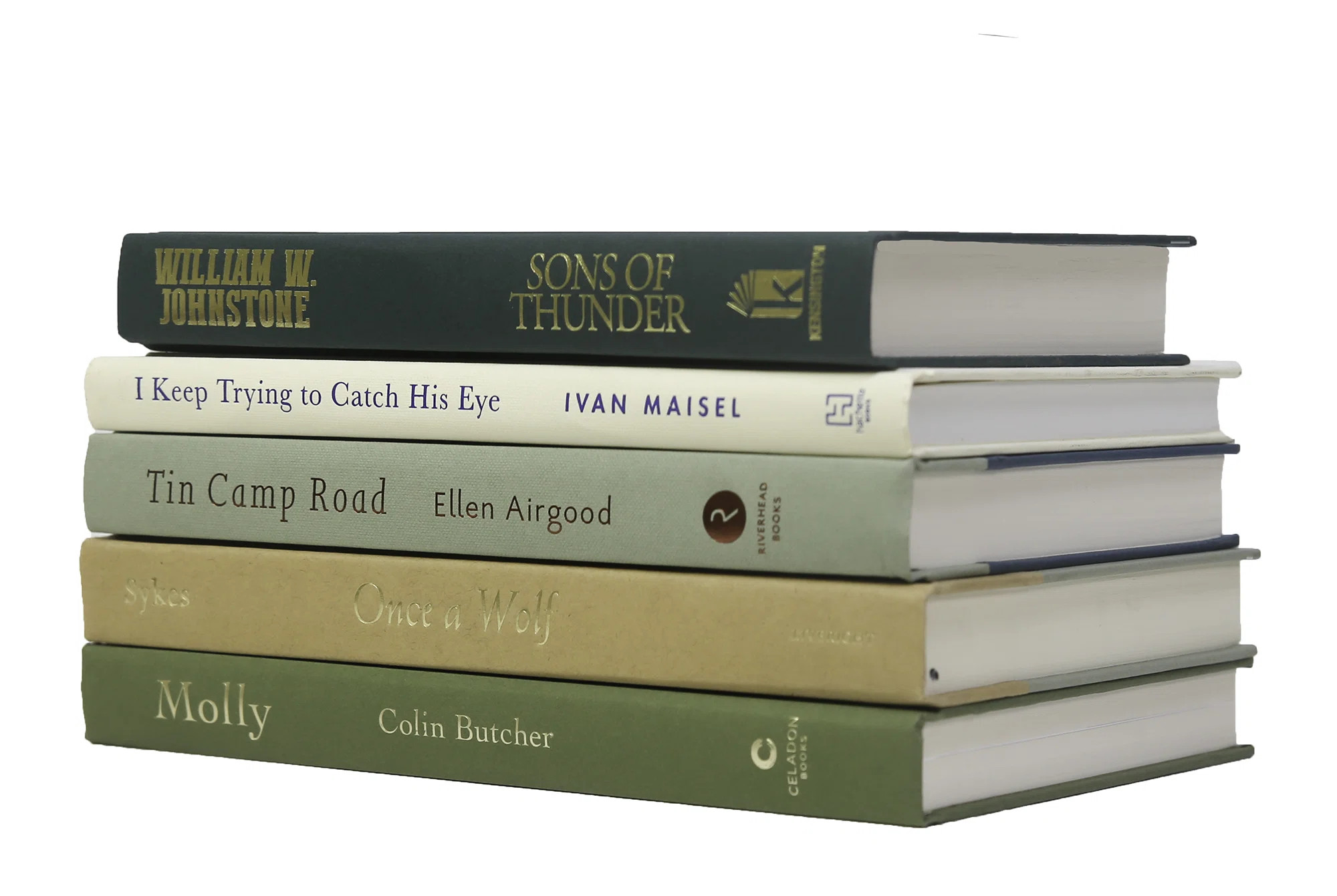 Latitude Run® 5 Piece Heulwen Decorative Book Set & Reviews | Wayfair | Wayfair North America