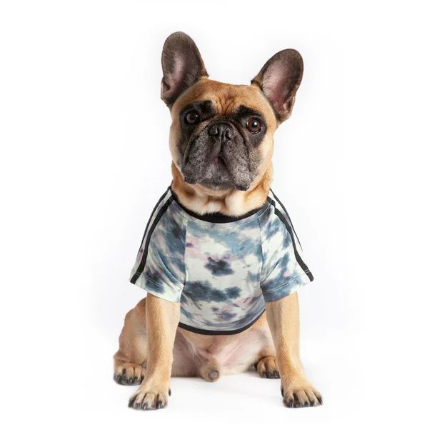 Coco + Rebel Tie-Dye Athletic Dog T-Shirt | Walmart (US)