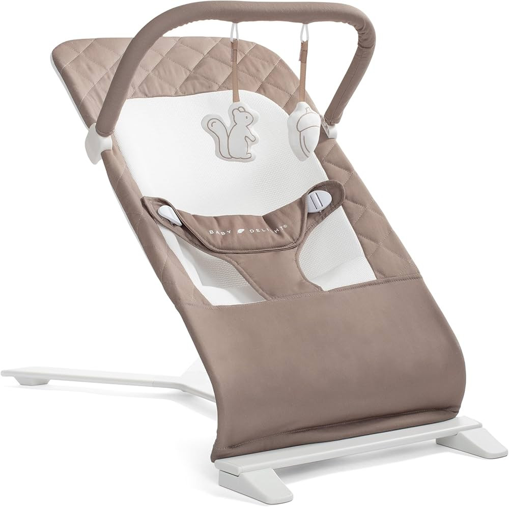 Baby Delight Alpine Deluxe Portable Baby Bouncer | Infant | 0-6 Months | 100% GOTS Certified Orga... | Amazon (US)