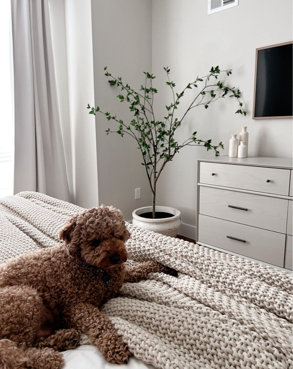 My favorite amazon home finds from June: this faux citrus tree 

#LTKhome #LTKFind