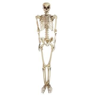 5ft. Life Size Spooky Skeleton Halloween Decoration | Michaels Stores