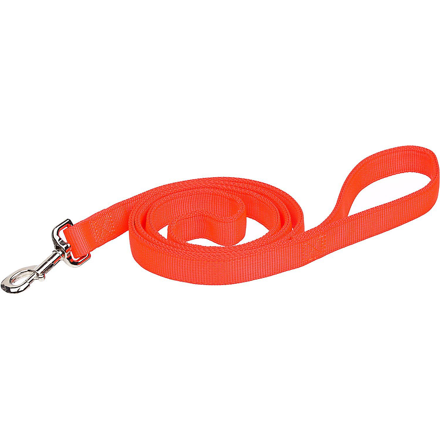 Remington Orange Double Ply Safety Dog Leash | PETCO Animal Supplies