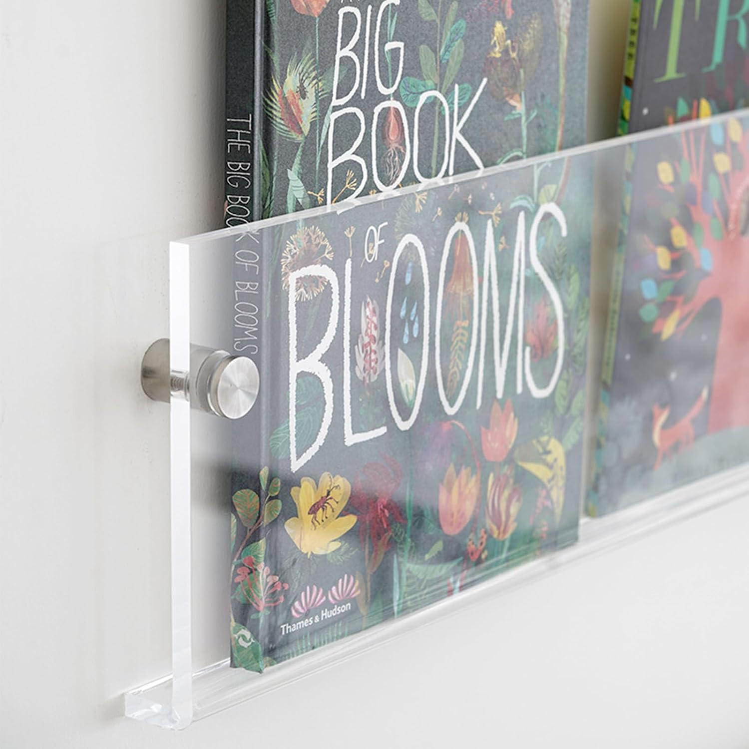 ROYALITA 2-Pack Acrylic Magazine Holder Display Records Holder, 17 Inch | Amazon (US)