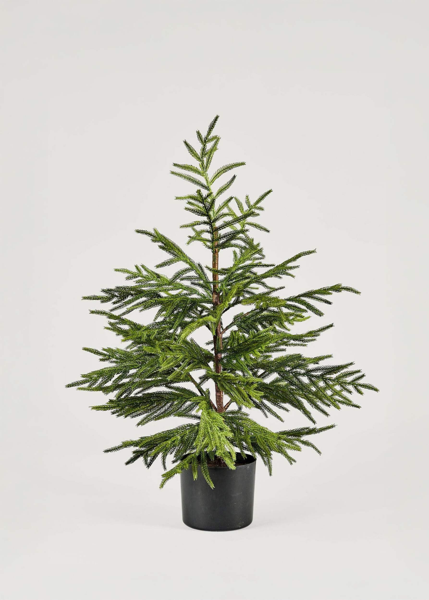 Afloral Artificial Norfolk Pine Tree - 36" | Amazon (US)