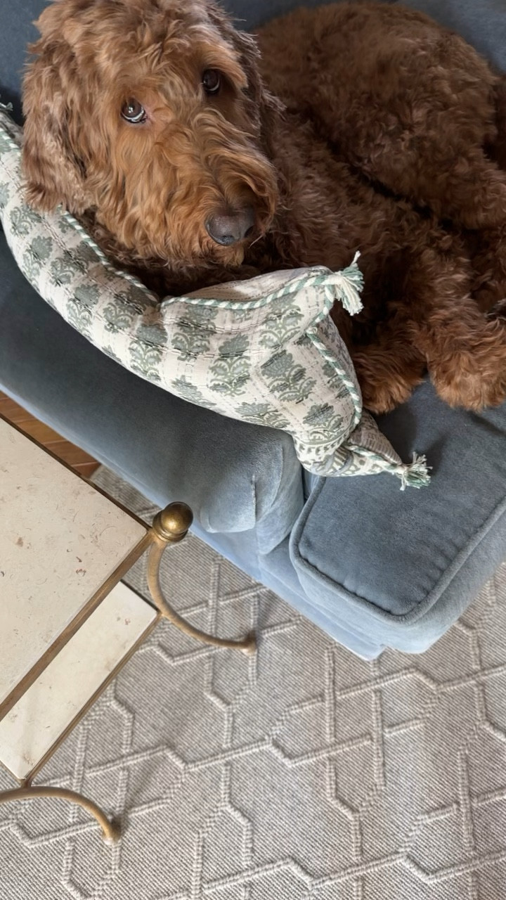 My top classic neutral woven rug picks… 

#LTKWatchNow #LTKHome