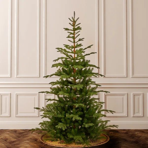 7' 5'' H Green Spruce Christmas Tree | Wayfair Professional