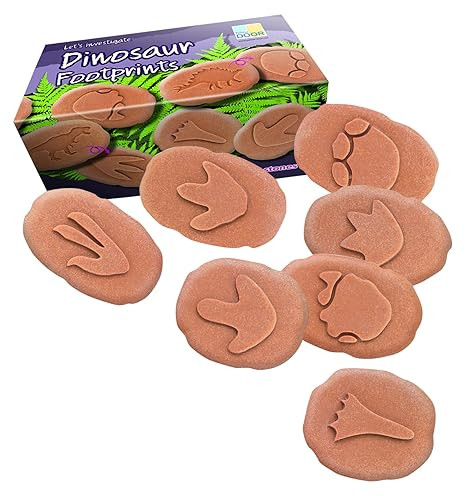 Yellow Door Let's Investigate Dinosaur Footprints | Amazon (US)