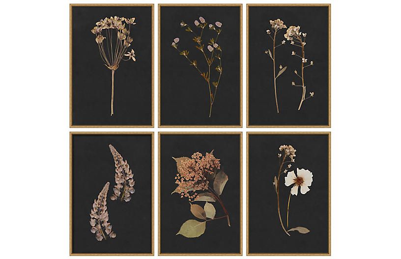 Lauren Liess, Moody Botanical Set | One Kings Lane
