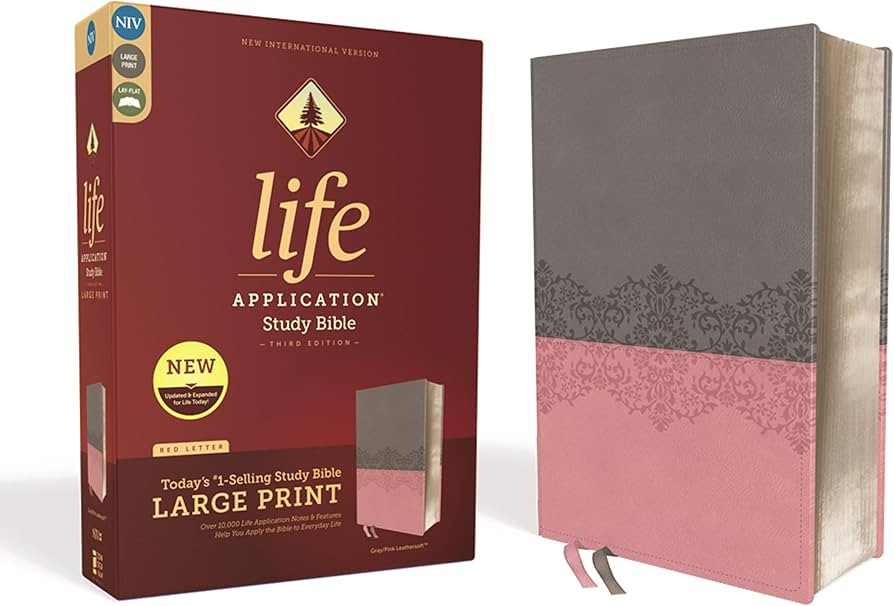 NIV, Life Application Study Bible, Third Edition, Large Print, Leathersoft, Gray/Pink, Red Letter | Amazon (US)