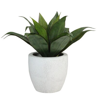 Northlight 13-in White Indoor Artificial Agave Artificial Plant | Lowe's
