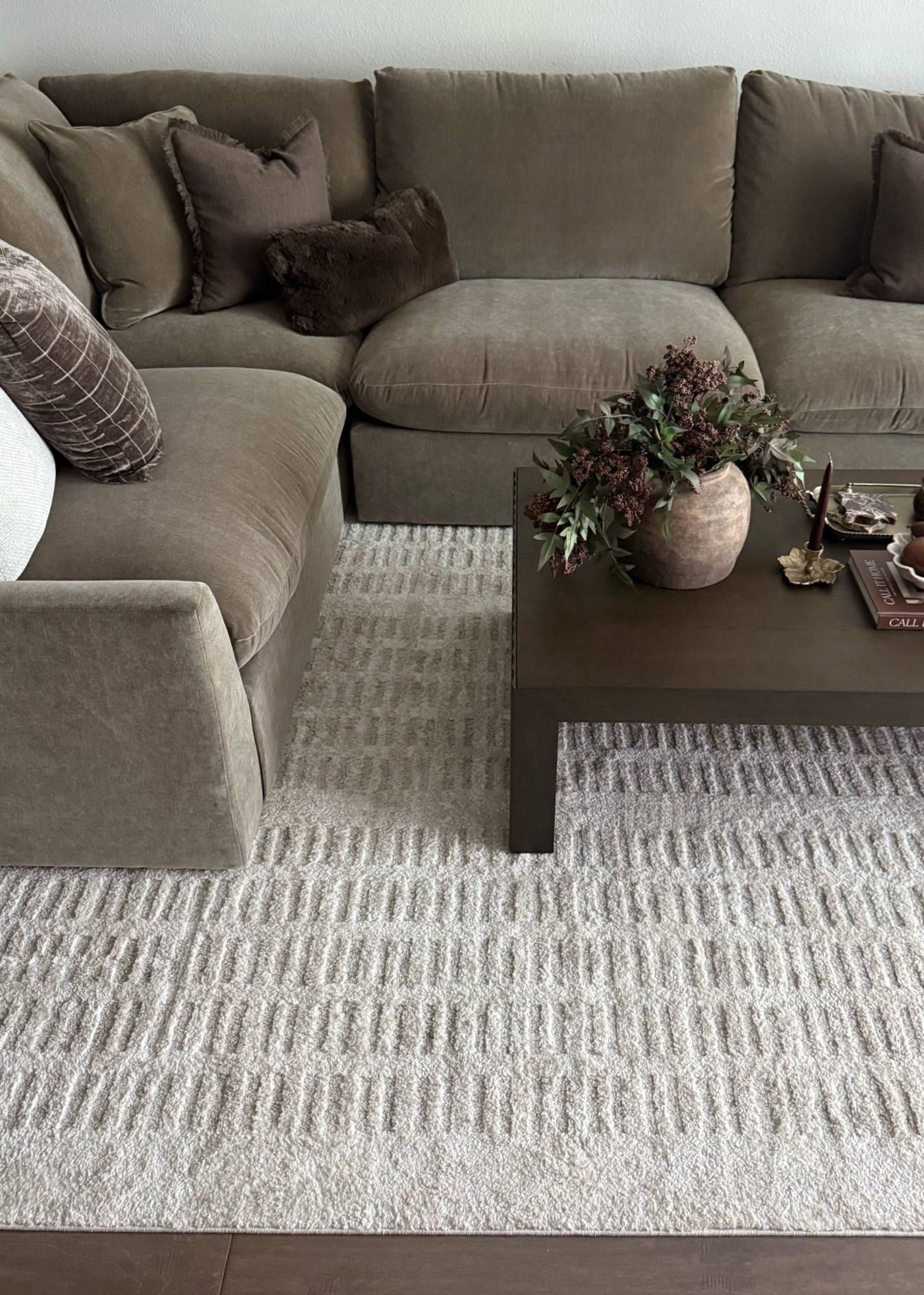 Living room rug | Labor Day sale | living room decor | sectional couch | brown couch | cream rug

#LTKHome #LTKSaleAlert