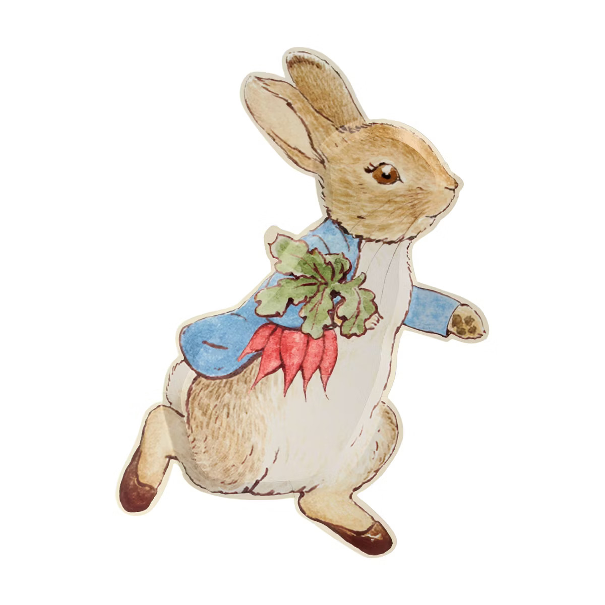 Meri Meri Peter Rabbit™ Plates (Pack of 12) | Target