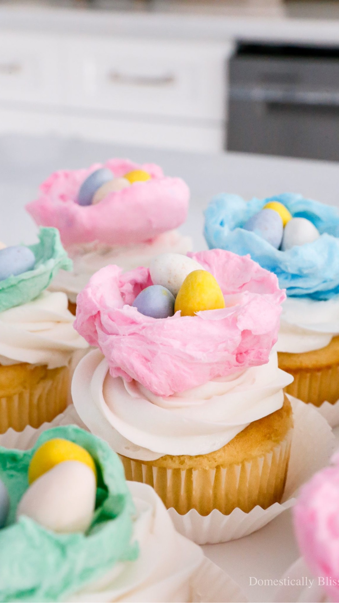 These Cotton Candy Bird Nests Cupcakes are a fun and colorful way to top homemade or store-bought cupcakes at a spring brunch or Easter party.

See details:
https://domesticallyblissful.com/cotton-candy-bird-nests-cupcakes/



#LTKfoodie #LTKKids #LTKSeasonal