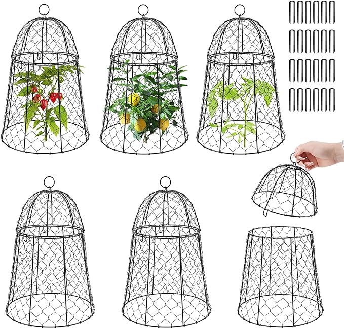 6 Pack Garden Cloches for Plants, Sturdy Plant Protectors from Animals, Chicken Wire Cage for Pla... | Amazon (US)