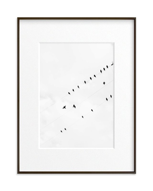 "Birds on a Wire" - Photography Limited Edition Art Print by Angela Thompson. | Minted